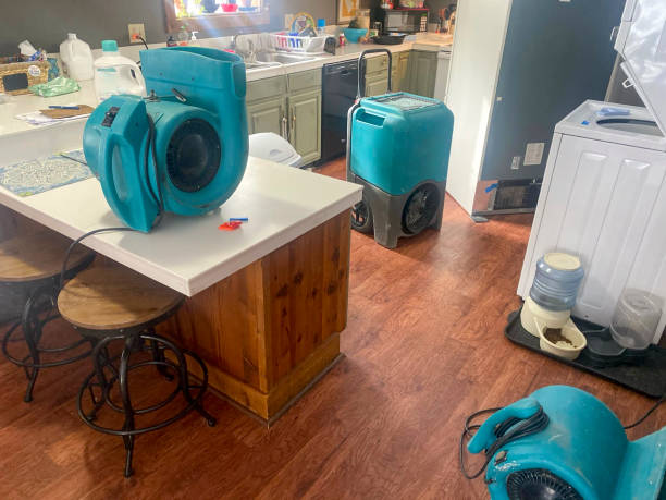 Best Water damage restoration near me  in Riceville, TN
