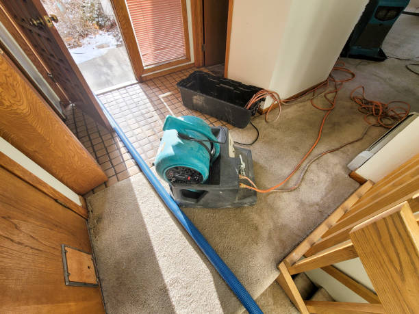 Best Flood damage cleanup  in Riceville, TN