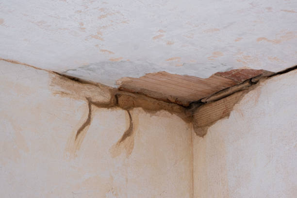 Professional Water damage restoration in Riceville, TN