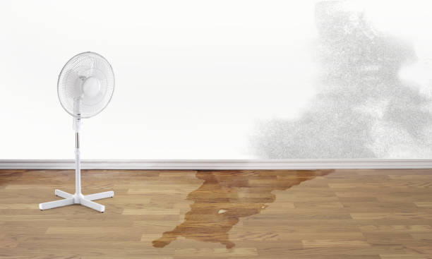 24/7 water damage repair in Riceville, TN