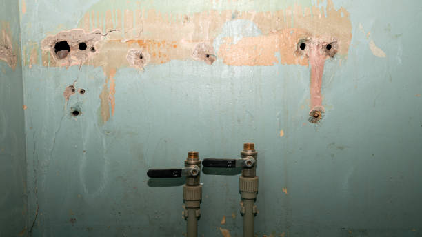 Best Carpet water damage restoration  in Riceville, TN