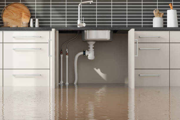 Best Water damage mitigation services  in Riceville, TN