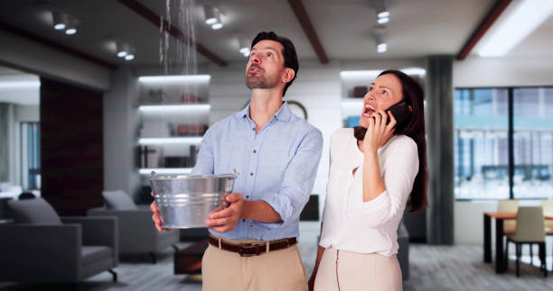 Best Water damage restoration process  in Riceville, TN