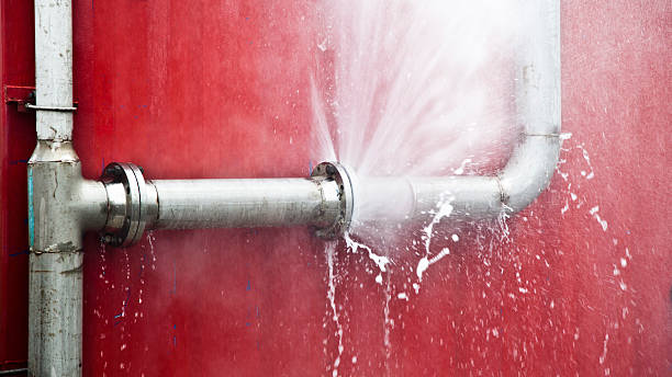 Best Ceiling water damage repair  in Riceville, TN