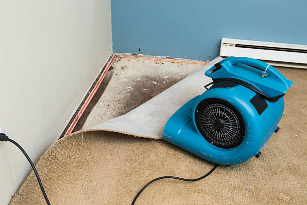 Best Sewage cleanup and water damage restoration  in Riceville, TN